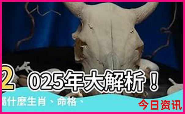 福建泰宁旅游景点介绍